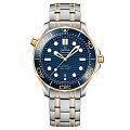 Seamaster Diver 300 Seamaster Diver 300